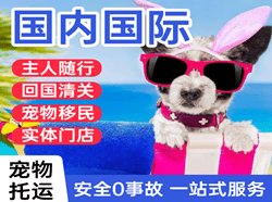 韶关丹霞航空运输国际宠物托运 【国